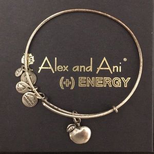 Alex and Ani bracelet
